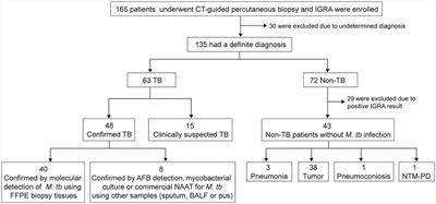 The incremental value of Mycobacterium tuberculosis trace nucleic acid detection in CT-guided percutaneous biopsy needle rinse solutions for the diagnosis of tuberculosis